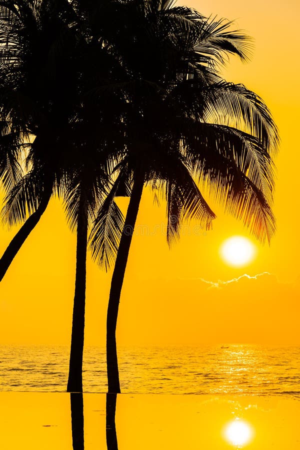 Beautiful Silhouette Coconut Palm Tree On Sky Around Swimming Pool In