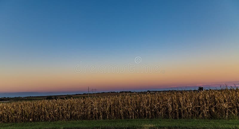 Colorful skyline over corn farmland Omaha Nebraska. Beautiful skyline at dusk over farmland in Omaha Nebraska Mature corn ready for harvesting in the foreground stock image Colorful skyline over corn farmland Omaha Nebraska. Beautiful skyline at dusk over farmland in Omaha Nebraska Mature corn ready for harvesting in the foreground stock image