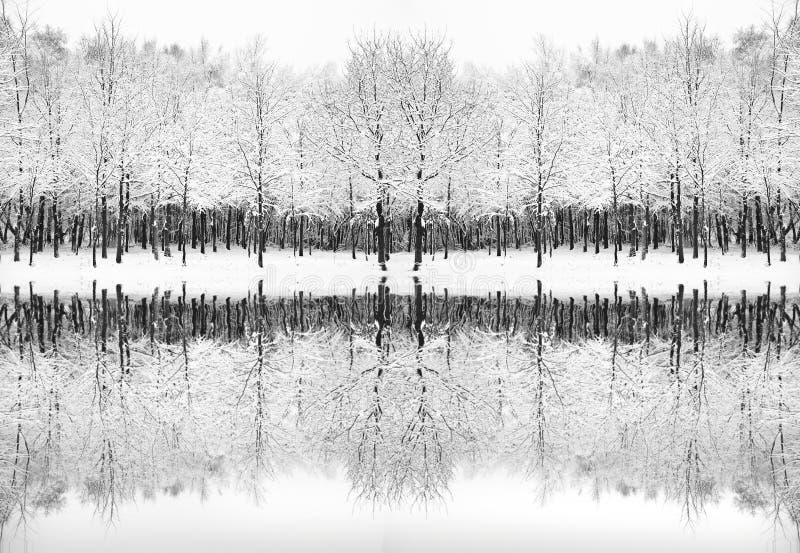 Beautiful snow and frost covered trees Winter landscape reflected in frozen lake