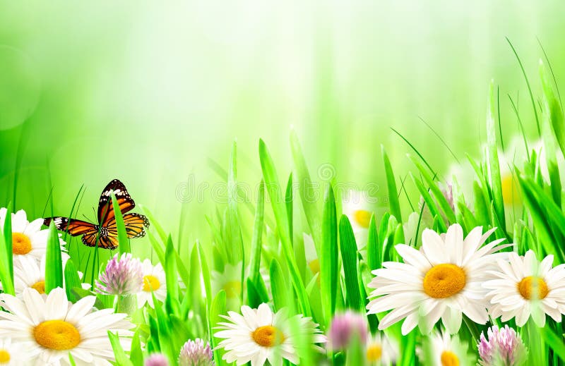 Beautiful spring backgrounds