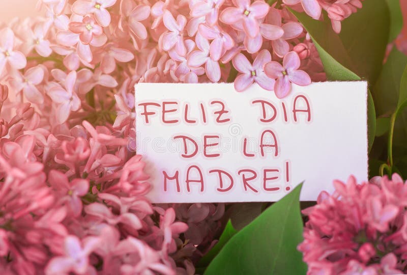 Beautiful spring bouquet of lilac flowers and gift cardboard white card with the inscription i love you mom in spanish, mother day. Holiday stock photo