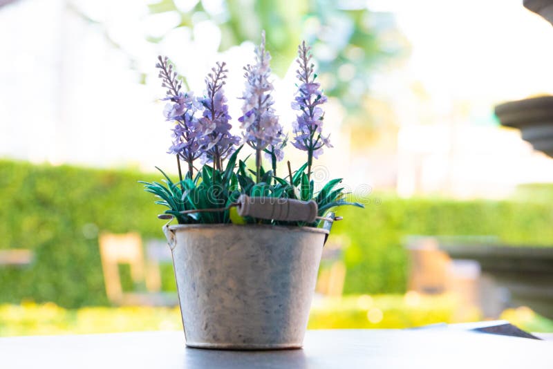 Beautiful spring flowers lily of the valley and lilac flowers on woodward wooden background. stock image Beautiful spring flowers lily of the valley and lilac flowers on woodward wooden background. stock image