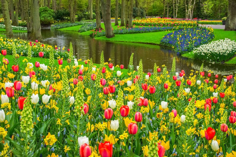 Beautiful spring flowers near pond in Keukenhof park in Netherlands