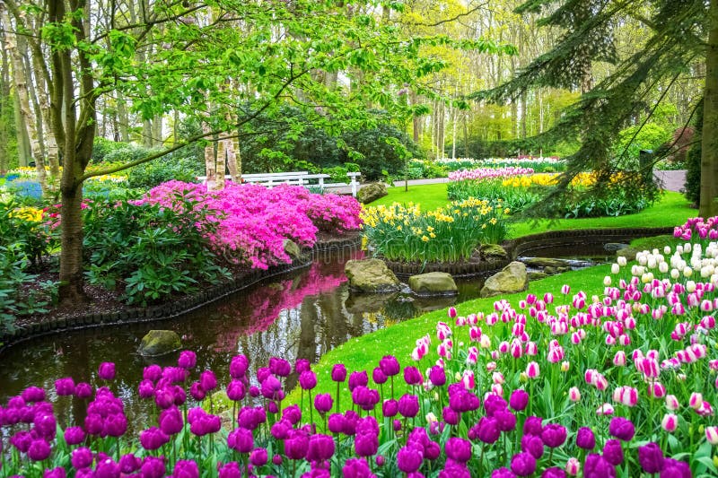 Beautiful spring flowers near pond in Keukenhof park in Netherlands