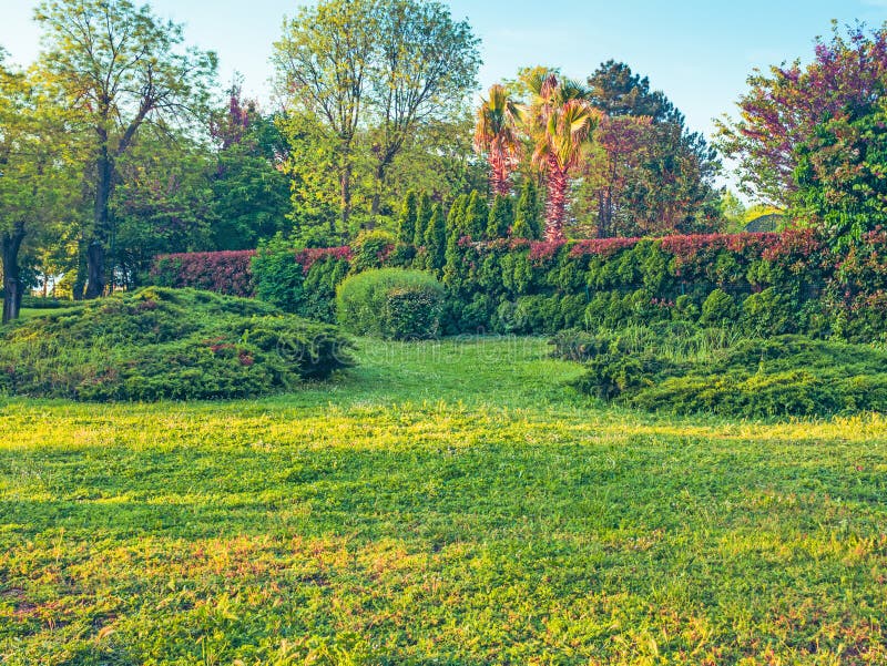 3,177,201%20Beautiful%20Spring%20Garden%20Stock%20Photos%20-%20Free%20&%20Royalty-Free%20Stock%20%20Photos%20from%20Dreamstime