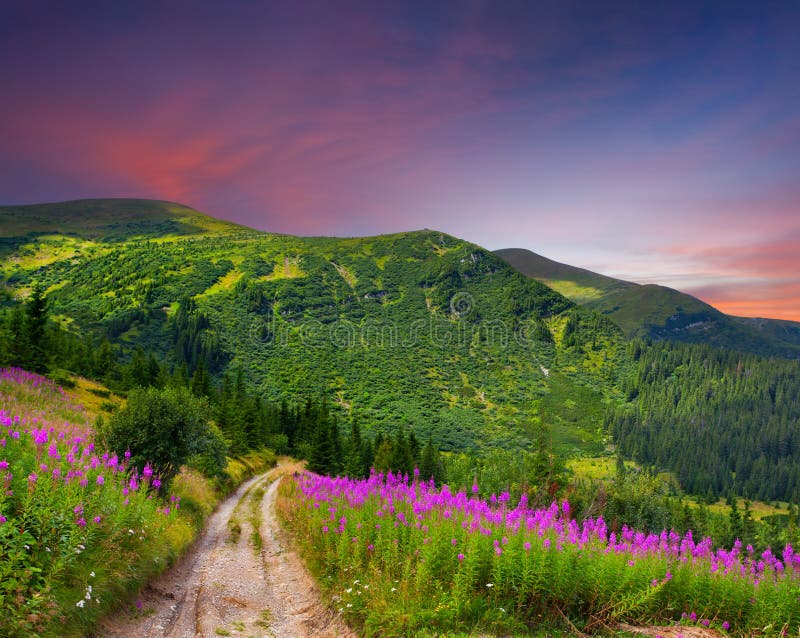 Beautiful summer landscape