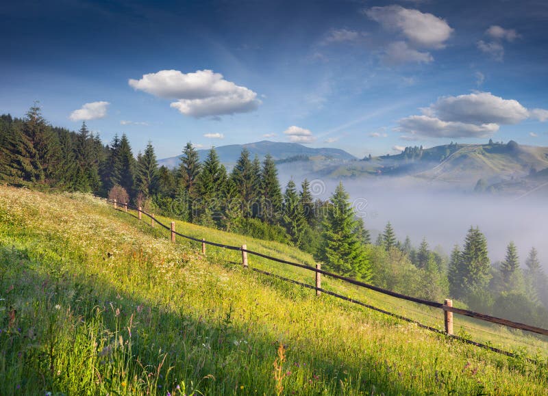 Summer Landscape in the Mountains Stock Image - Image of bright, beauty ...