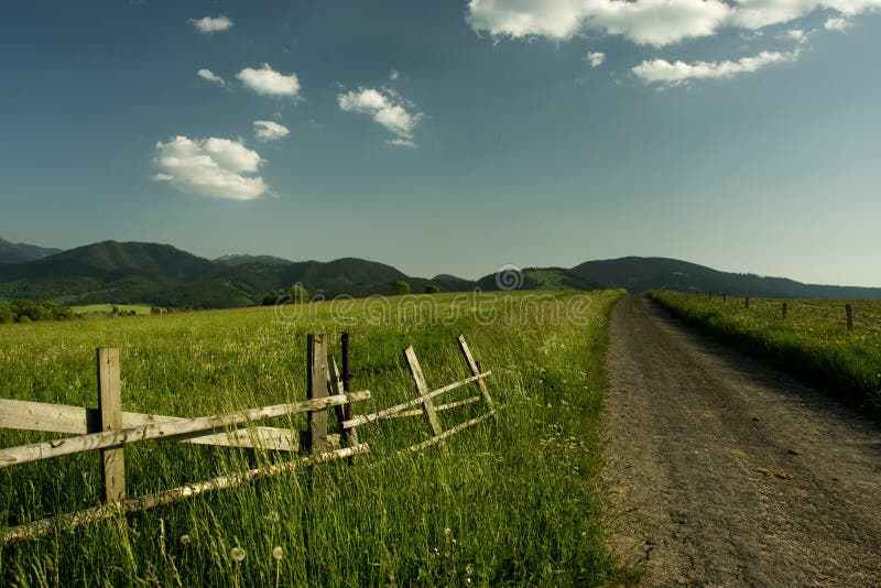 Krásna letná krajina