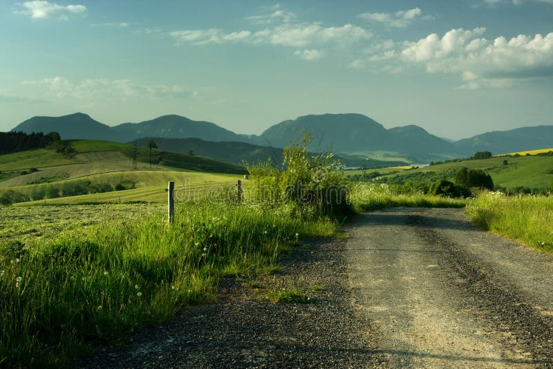 Beautiful summer landscape