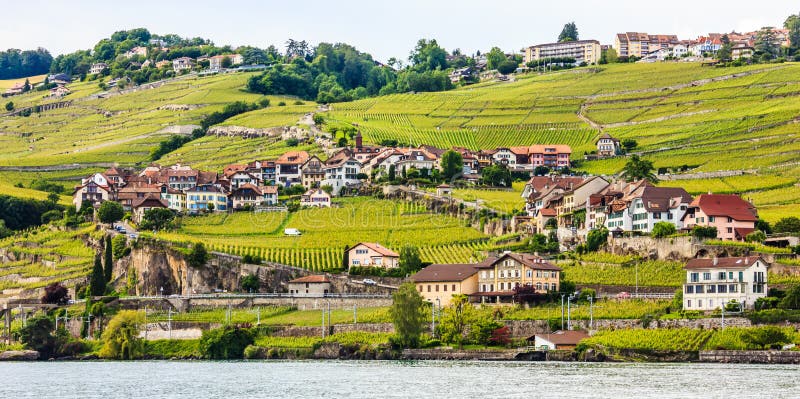 Beautiful Summer landscape of Lake Geneva, Lavaux vineyard terraces and Alps, Swiss Riviera, Switzerland, Europe