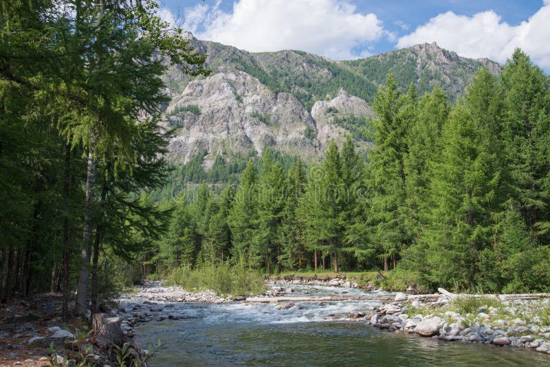 Beautiful summer landscape with mountains, forest and a river in front. stock images Beautiful summer landscape with mountains, forest and a river in front. stock images