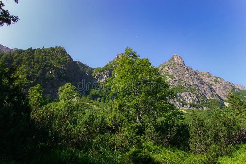 A beautiful summer mountain landscape in Tatry