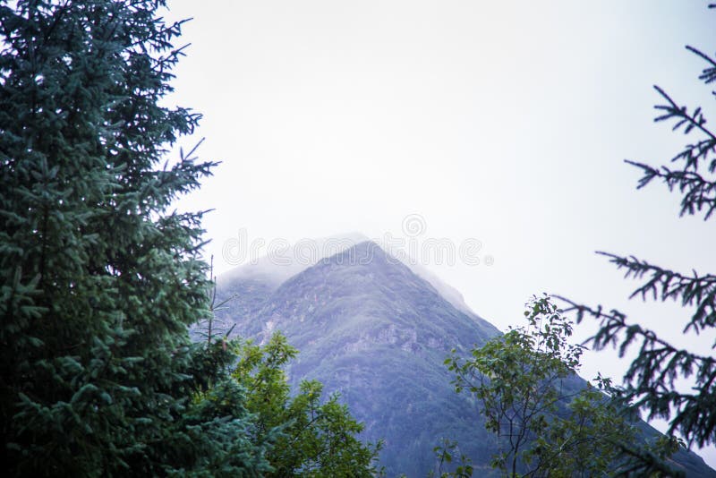 A beautiful summer mountain landscape in Tatry