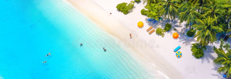 Panoramic aerial view of beautiful summer tropical beach with white sand, palm trees, turquoise ocean water.