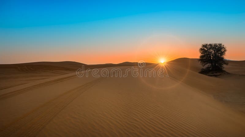 Beautiful Sun rise at the desert with lonely tree