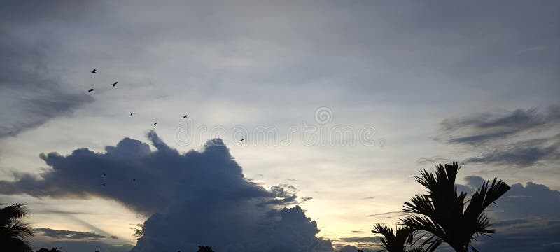 The beautiful sun setting scenery with birds. stock photography
