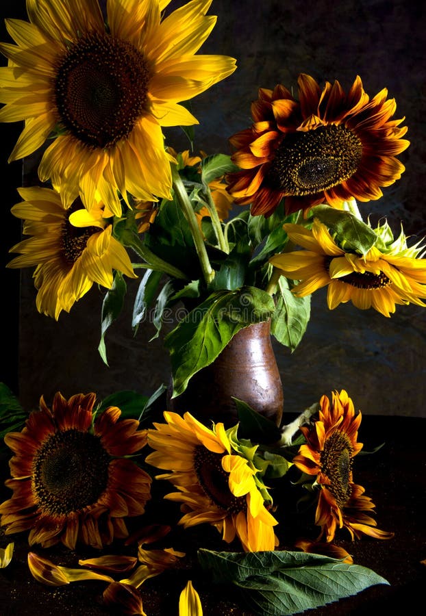 3,269 Sunflowers Vase Stock Photos Free & RoyaltyFree Stock Photos