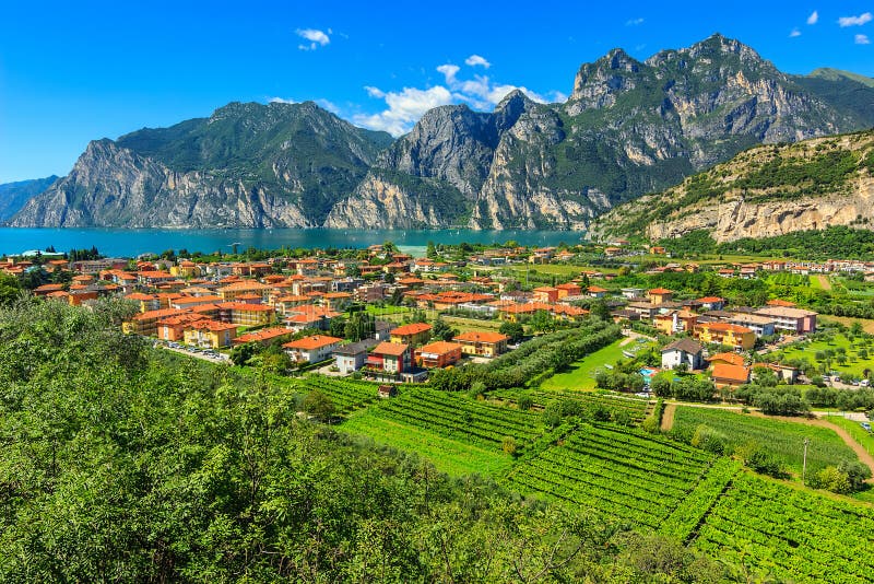 Beautiful sunny day on Lake Garda,Torbole.Italy,Europe. Lake Garda and vineyards near Torbole town,South Tyrol,Italy,Europe royalty free stock photo Beautiful sunny day on Lake Garda,Torbole.Italy,Europe. Lake Garda and vineyards near Torbole town,South Tyrol,Italy,Europe royalty free stock photo