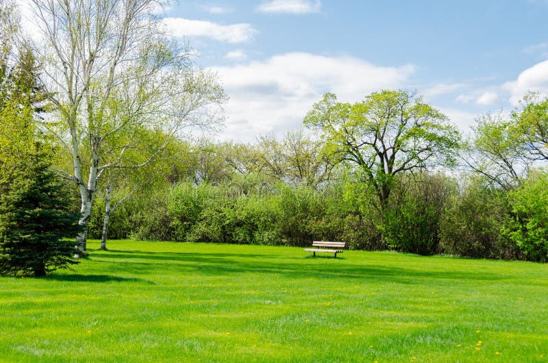 Beautiful Sunny Day in Park at Spring Time Stock Photo - Image of grass ...