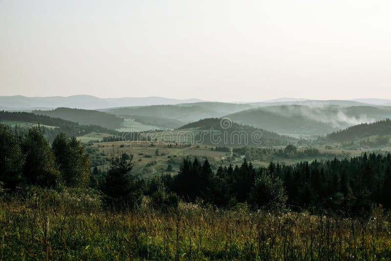 Beautiful sunny meadow on hills among woods at sunset in mountains. View on evening hills in Carpathian mountains, natural royalty free stock photos Beautiful sunny meadow on hills among woods at sunset in mountains. View on evening hills in Carpathian mountains, natural royalty free stock photos