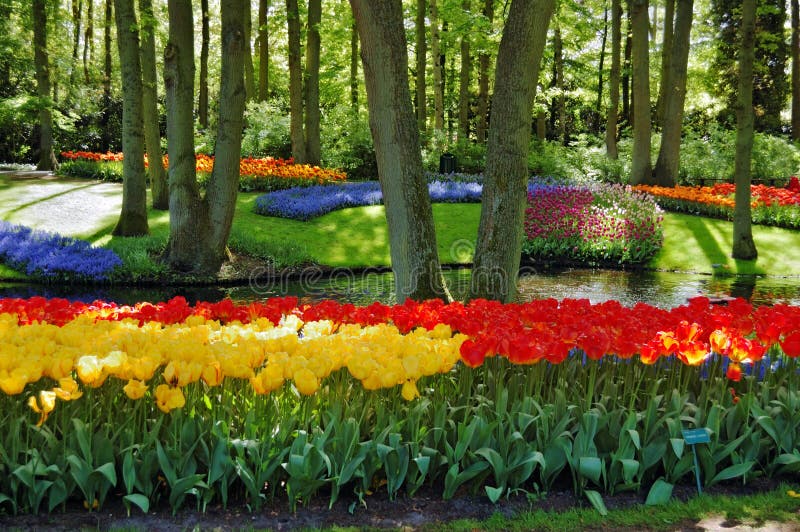 Beautiful sunny morning at the Keukenhof Gardens