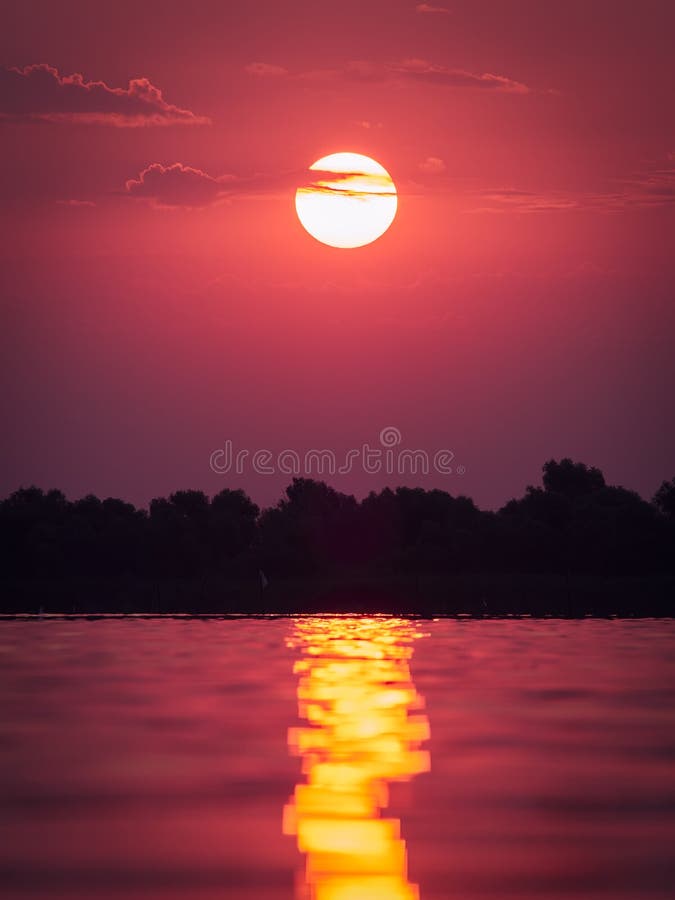 Beautiful sunrise in the Danube Delta, Romania royalty free stock photography Beautiful sunrise in the Danube Delta, Romania royalty free stock photography