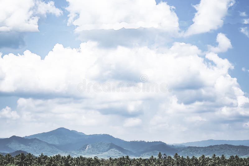 Beautiful sunrise over the mountain range. Coconut palm tree scenario .tropical forest nature at the south of Thailand stock images Beautiful sunrise over the mountain range. Coconut palm tree scenario .tropical forest nature at the south of Thailand stock images