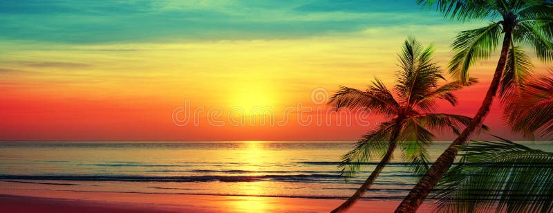 Beautiful Sunset Beach Landscape, Exotic Tropical Island Nature ...