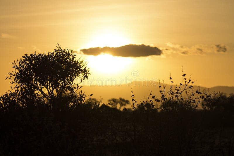 Beautiful sunset landscape for wallpaper stock photography Beautiful sunset landscape for wallpaper stock photography