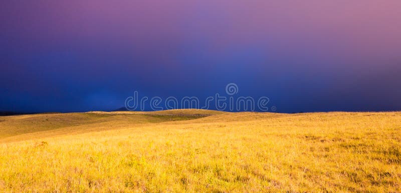 Beautiful Sunset over Golden Field