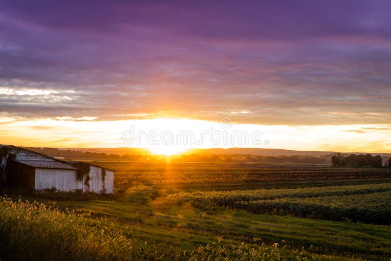 Beautiful sunset over humble farm during peak harvest, late summer stock photography Beautiful sunset over humble farm during peak harvest, late summer stock photography