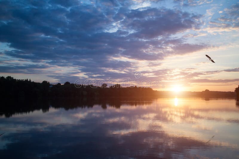 Beautiful sunset over the lake with bird in the sky stock photo Beautiful sunset over the lake with bird in the sky stock photo
