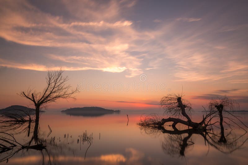 Beautiful sunset at Trasimeno lake Umbria, with perfectly still water, skeletal trees and beautiful warm colors