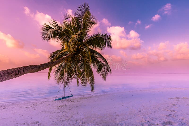 Nền cảnh đẹp bãi biển Tropical Sunset Pink mang đến cho người xem một trải nghiệm lãng mạn và thú vị. Hình ảnh được thiết kế với tông màu hồng và vàng ấm áp cùng với bầu trời hoàng hôn tuyệt đẹp. Cảm nhận được bầu không khí cực kỳ thư thái khi tận hưởng những khoảnh khắc tuyệt vời trên bờ biển.