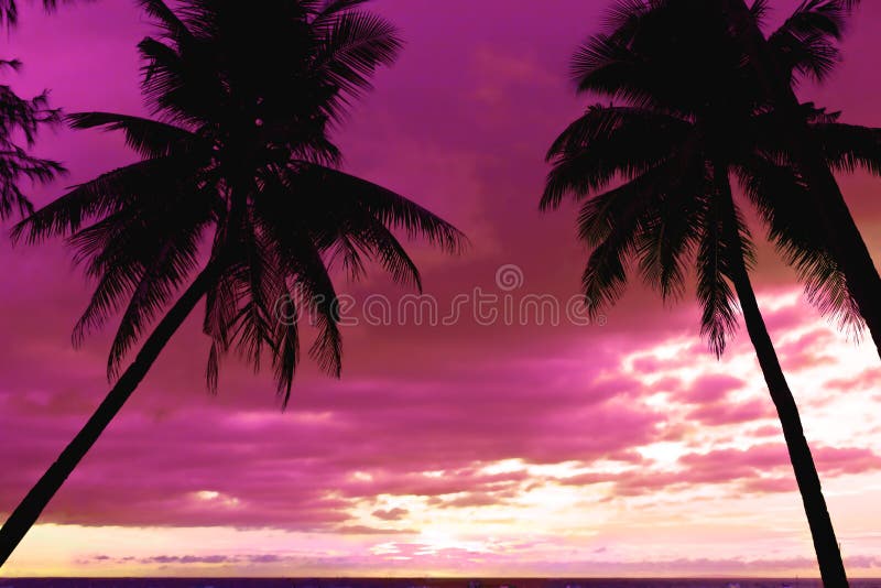 Beautiful sunset at tropical beach with palm trees