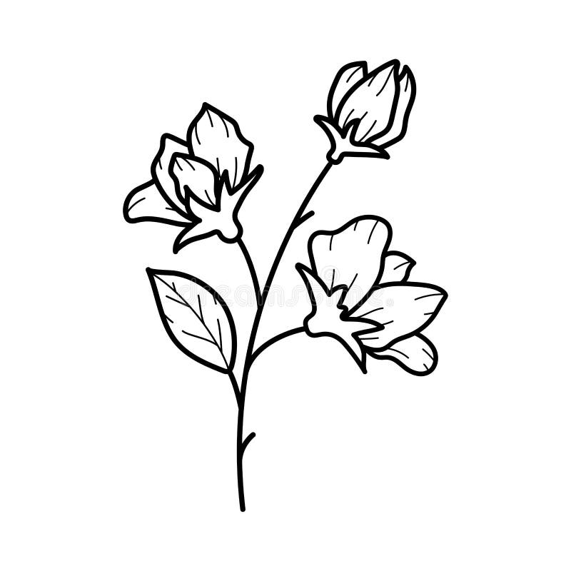 My Image 7