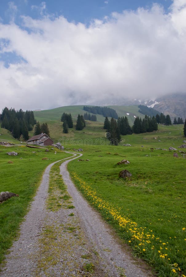 Hermoso suizo primavera en Alpes,.