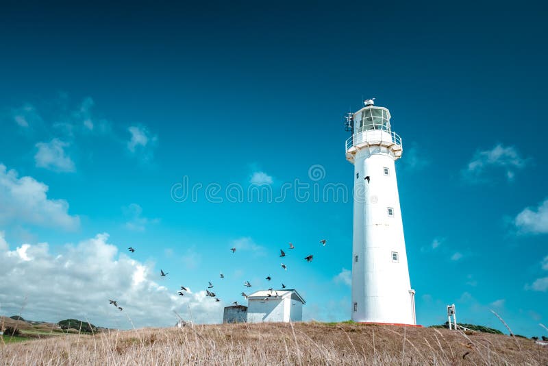 A beautiful tall white Cape Egmont Lighthouse