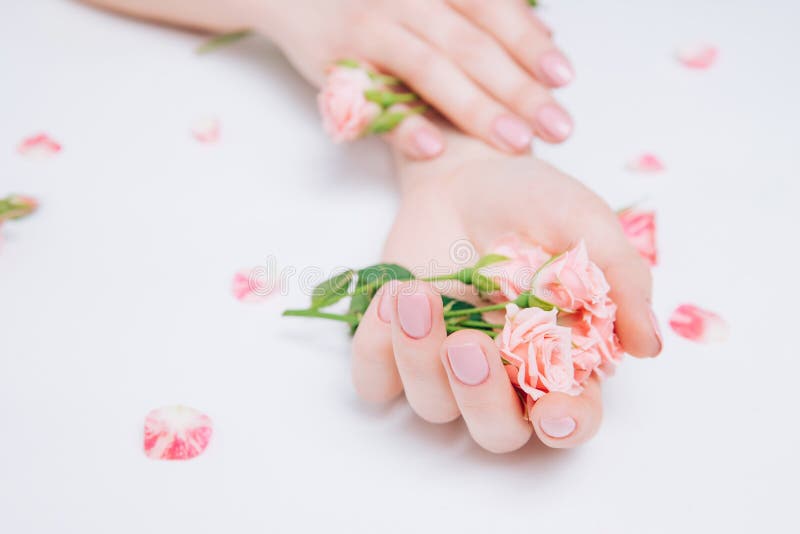 Beautiful tender female hands with pink flowers on a white background, classic manicure. Concept skin cream, winter care, depilation.