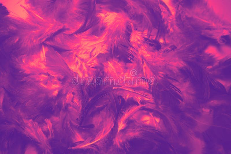 1 604 Blue Yellow Wallpaper Photos Free Royalty Free Stock Photos From Dreamstime 1 604 Blue Yellow Wallpaper Photos Free Royalty Free Stock Photos From Dreamstime