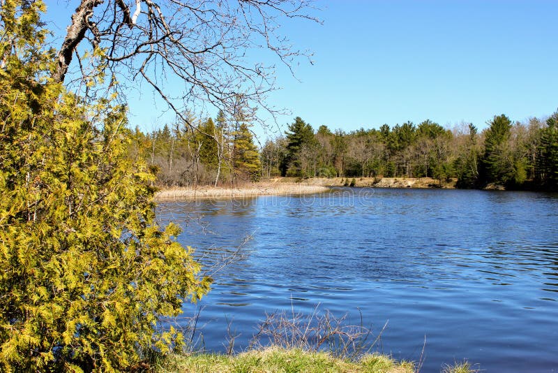 The Beautiful Thunder Bay River Stock Photo Image of grass, beautiful