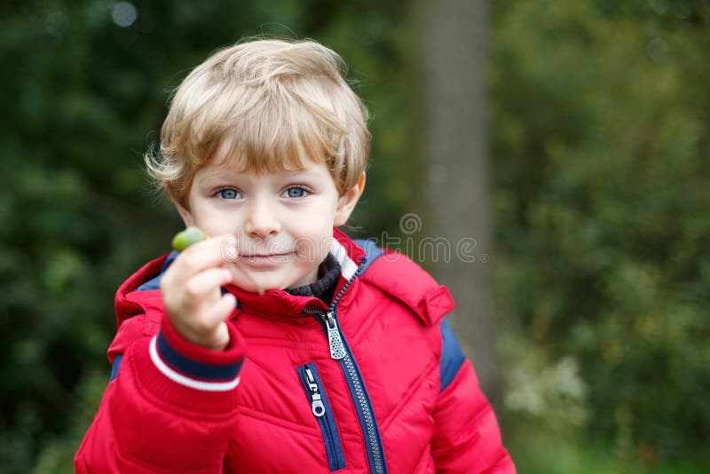 Beautiful Toddler Boy in Red Clothes Stock Photo Image of happy