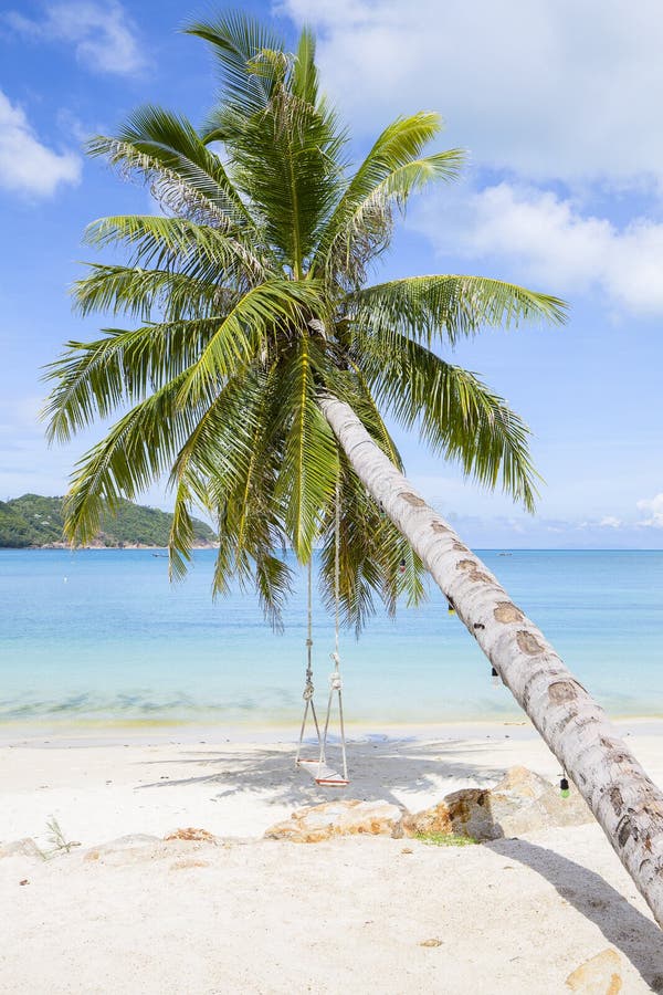 Beautiful Tropical Beach, Palm Tree and Sea Water in Island Koh Phangan ...