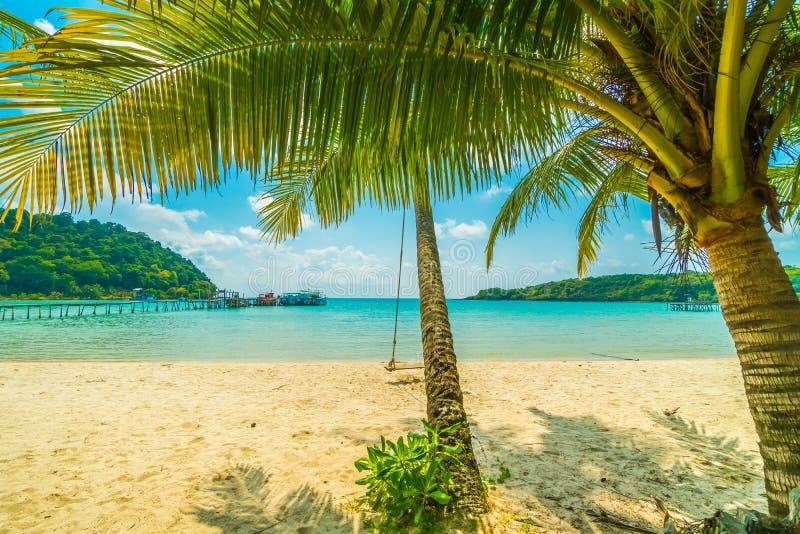 Beautiful Tropical Beach and Sea with Coconut Palm Tree in Paradise ...