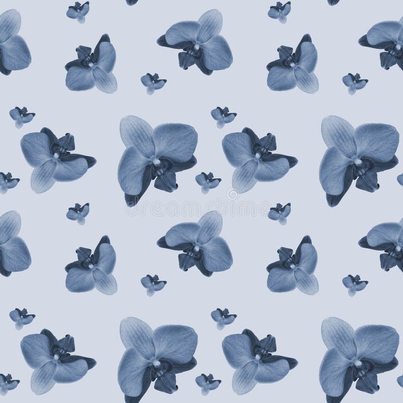 Beautiful tropical bright background. Seamless branches pattern orchids. Repeating texture with floral blue monochrome flowers.