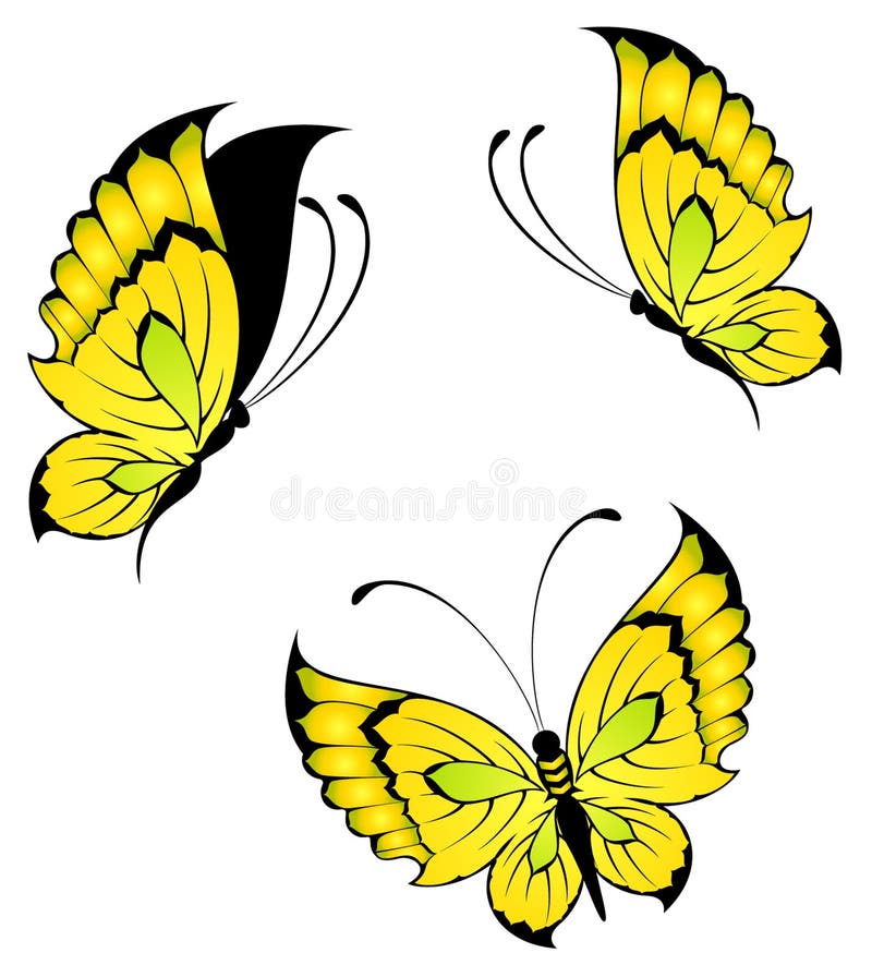 Beautiful Tropical Butterfly Stock Vector - Illustration ...