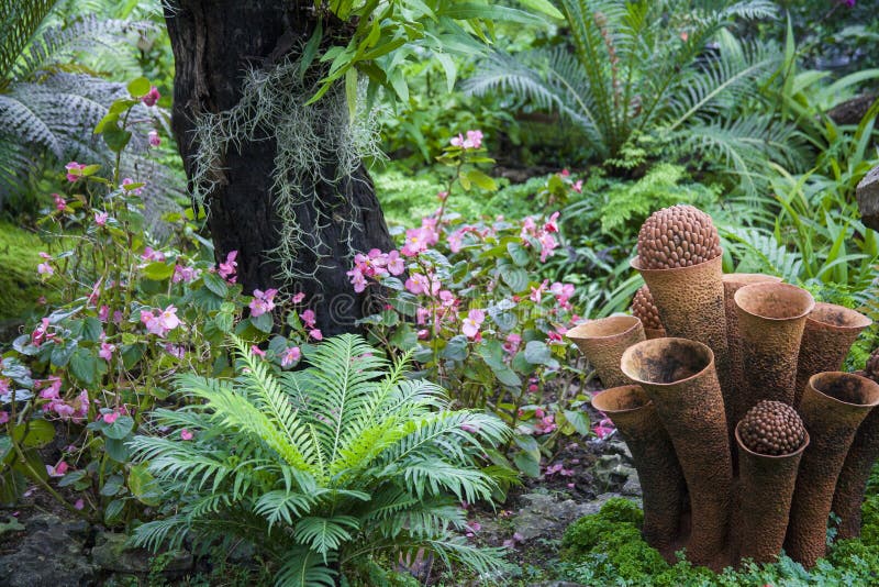 Beautiful tropical garden / Landscaping with tropical plants