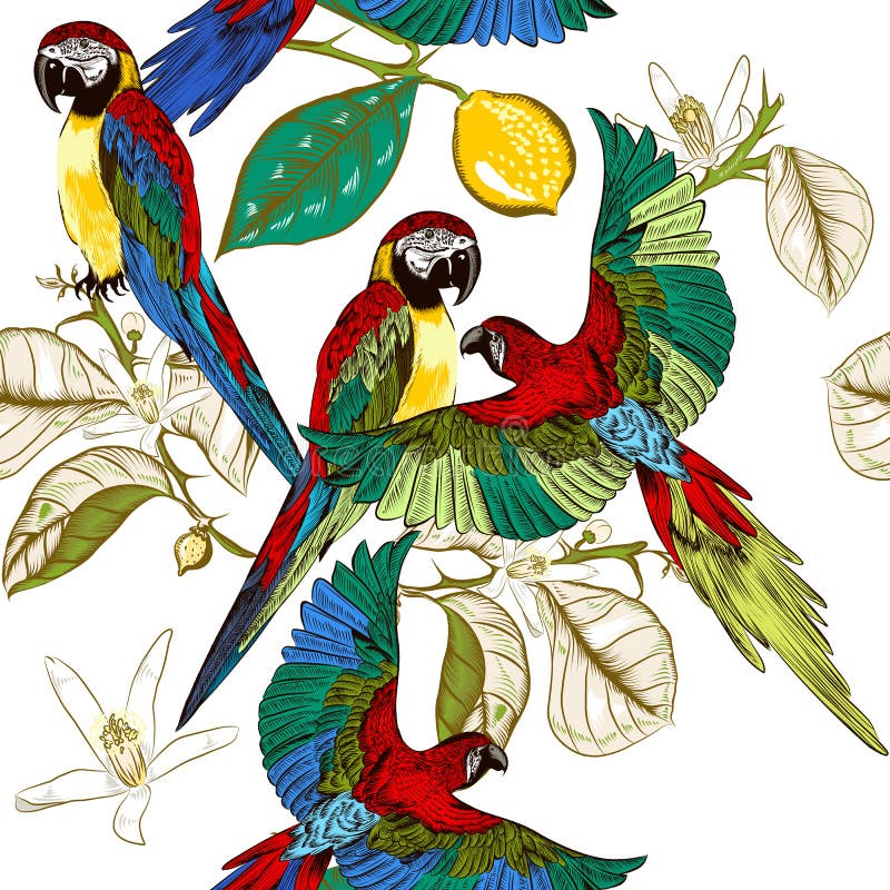 Beautiful tropical pattern with colorful parrots with lemon bran