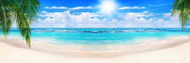 Beautiful tropical sand beach panorama view turquoise sea water ocean wave green palm tree summer holidays exotic island vacation. Beautiful tropical sand beach