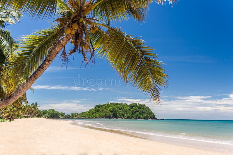 Beautiful tropical sandy beach, seascape with palm trees. Beautiful tropical sandy beach, seascape with palm trees